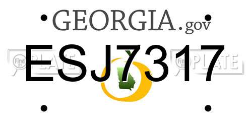 ESJ7317 Georgia License Plate