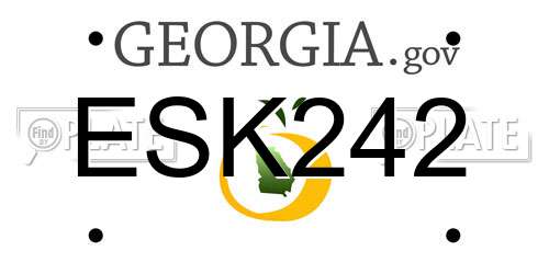 ESK242 Georgia License Plate