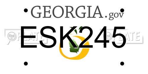 ESK245 Georgia License Plate