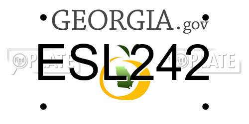 ESL242 Georgia License Plate