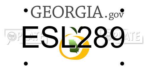 ESL289 Georgia License Plate