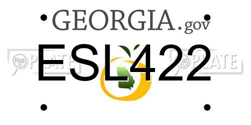 ESL422 Georgia License Plate