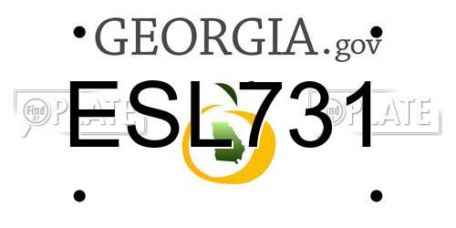 ESL731 Georgia License Plate