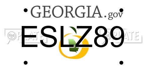 ESLZ89 Georgia License Plate