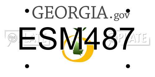 ESM487 Georgia License Plate