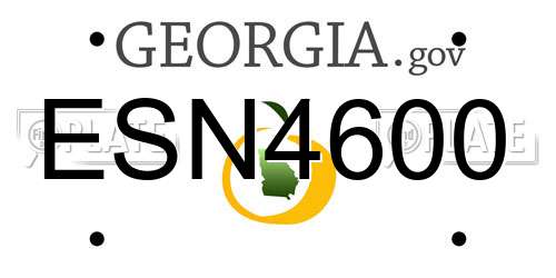 ESN4600 Georgia License Plate