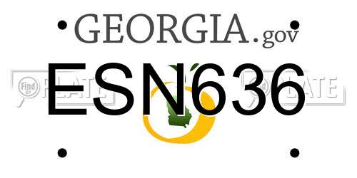 ESN636 Georgia License Plate