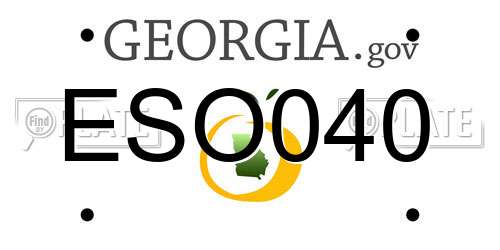 ESO040 Georgia License Plate