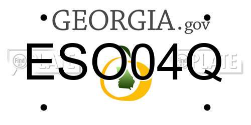 ESO04Q Georgia License Plate