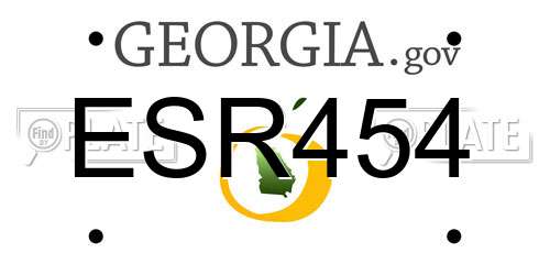 ESR454 Georgia License Plate