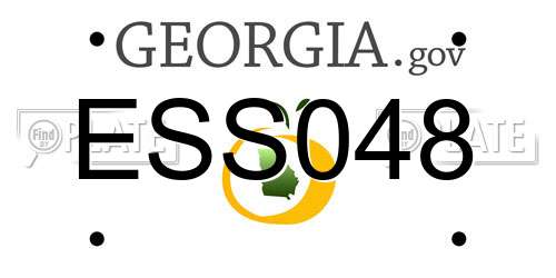 ESS048 Georgia License Plate