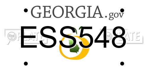 ESS548 Georgia License Plate