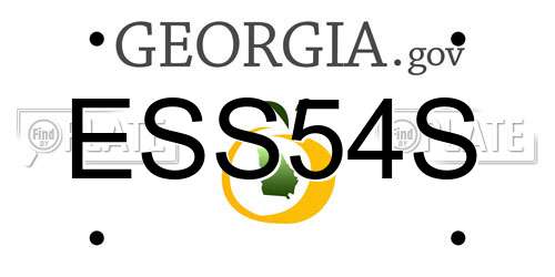 ESS54S Georgia License Plate