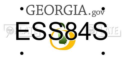ESS84S Georgia License Plate