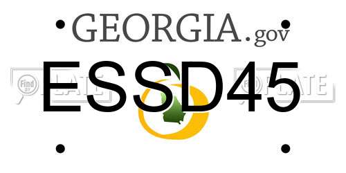 ESSD45 Georgia License Plate