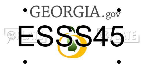 ESSS45 Georgia License Plate