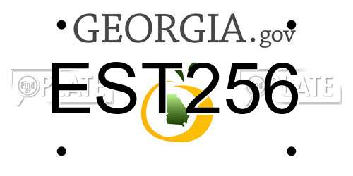 EST256 Georgia License Plate