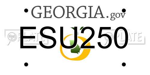 ESU250 Georgia License Plate