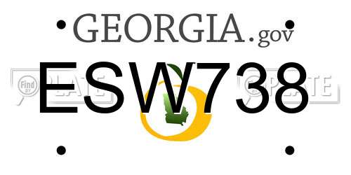 ESW738 Georgia License Plate