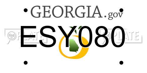 ESY080 Georgia License Plate