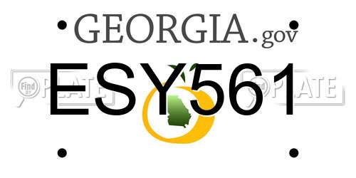 ESY561 Georgia License Plate
