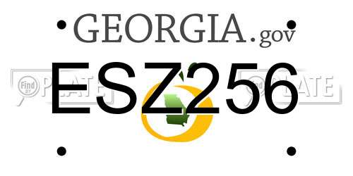 ESZ256 Georgia License Plate