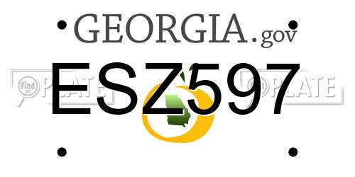 ESZ597 Georgia License Plate