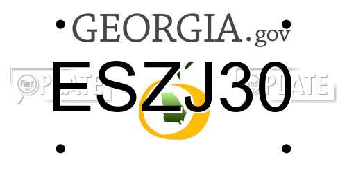 ESZJ30 Georgia License Plate