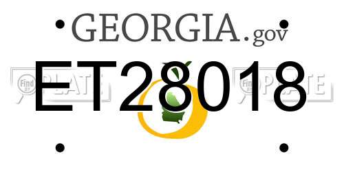 ET28018 Georgia License Plate