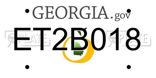 ET2B018 Georgia License Plate
