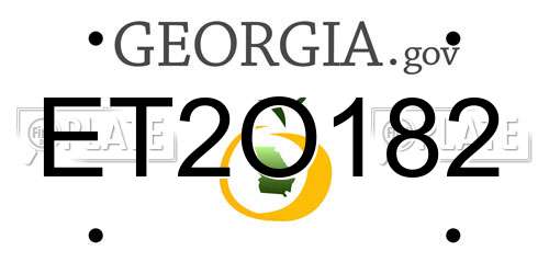 ET2O182 Georgia License Plate