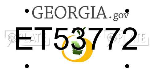 ET53772 Georgia License Plate