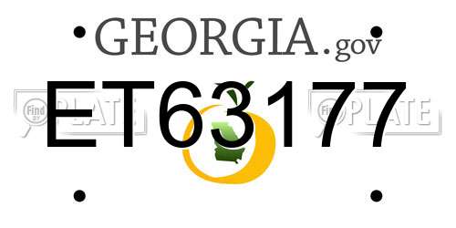 ET63177 Georgia License Plate