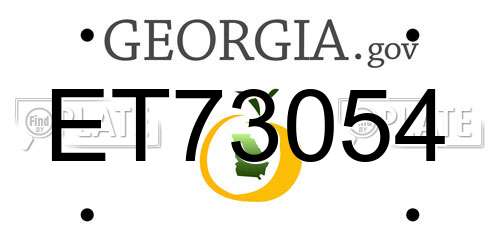 ET73054 Georgia License Plate