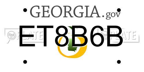 ET8B6B Georgia License Plate