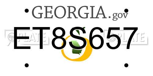 ET8S657 Georgia License Plate
