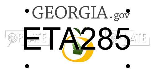 ETA285 Georgia License Plate