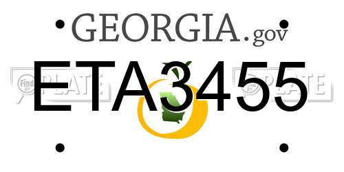 ETA3455 Georgia License Plate