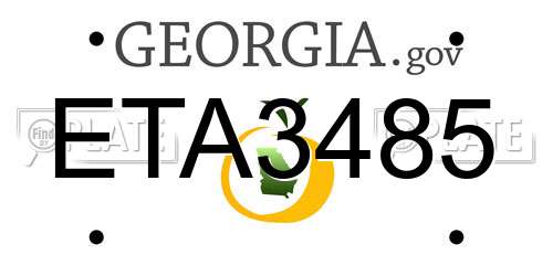 ETA3485 Georgia License Plate