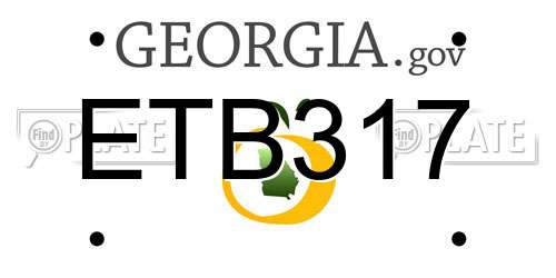 ETB317 Georgia License Plate