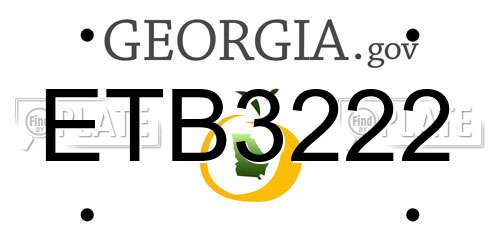 ETB3222 Georgia License Plate