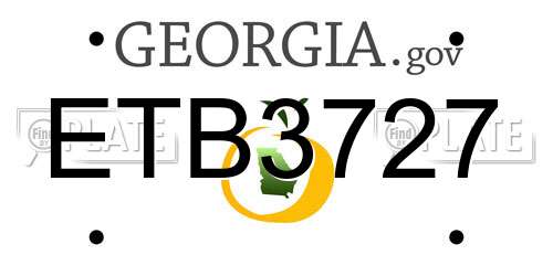 ETB3727 Georgia License Plate
