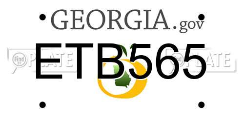 ETB565 Georgia License Plate