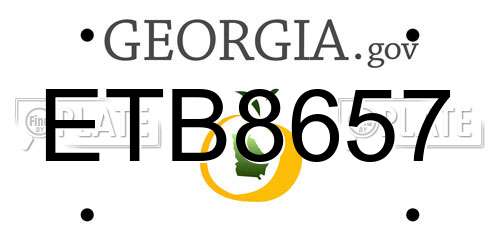 ETB8657 Georgia License Plate