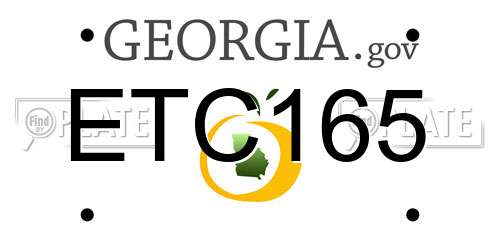 ETC165 Georgia License Plate
