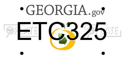 ETC325 Georgia License Plate