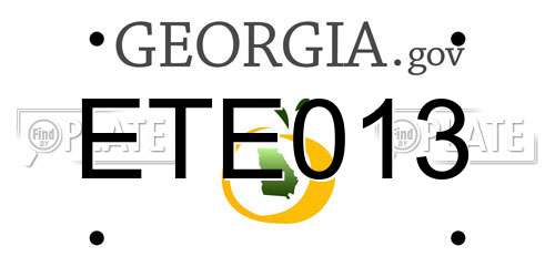 ETE013 Georgia License Plate