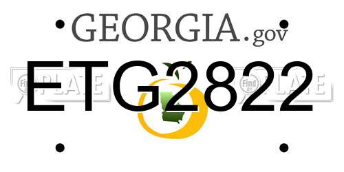 ETG2822 Georgia License Plate