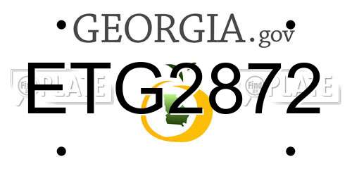 ETG2872 Georgia License Plate