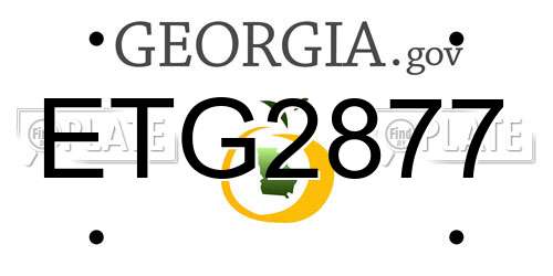 ETG2877 Georgia License Plate